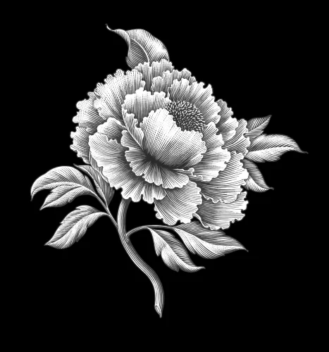 Цветок 038 (пион)