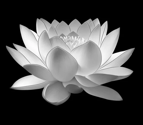 Цветок 079 (лотос)